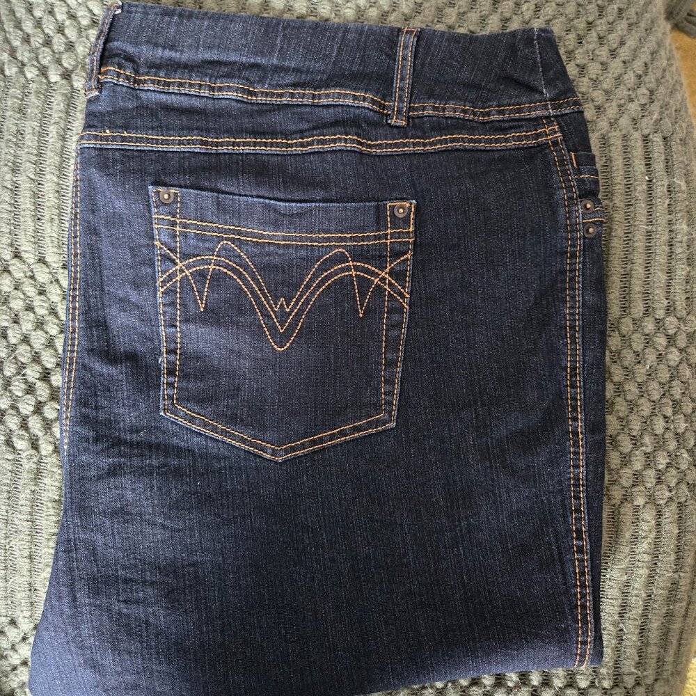 Penningtons Savvy Fit Blue Pull-On Jeans (28W)